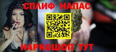 мдпв Можга