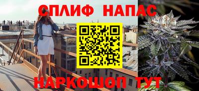 мдпв Можга