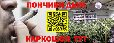 мяу мяу мука Моздок