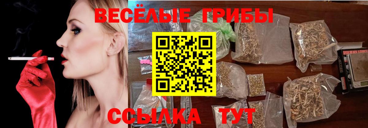 Галлюциногенные грибы Cubensis  Псилоцибиновые грибы прущие грибы  продажа наркотиков  Хасавюрт  Вход с VPN 